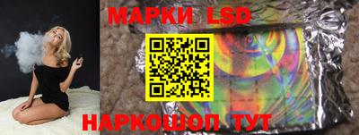 стафф Дубна