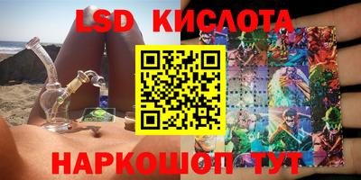 стафф Дубна