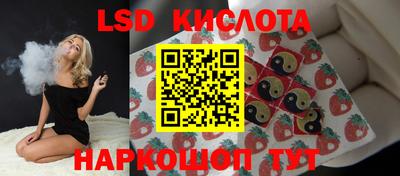 стафф Дубна