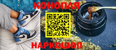 стафф Дубна