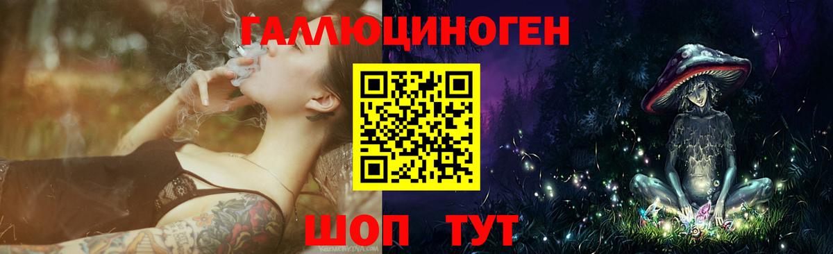 Галлюциногенные грибы Psilocybine cubensis Буйнакск